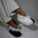 Inti – Ombre Noire (Mi-blanc, mi-noir avec poils longs et bord blanc)
