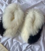 Inti – Ombre Noire (Mi-blanc, mi-noir avec poils longs et bord blanc) – Image 2