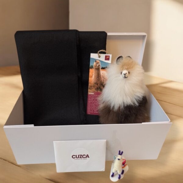 Coffret Cadeau Homme – Écharpe Noire & Peluche d’Alpaga (20 cm)