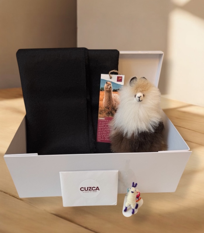 Photoroom_20251202_220903 Coffret Cadeau Homme – Écharpe Noire & Peluche d’Alpaga (20 cm) – Image 1