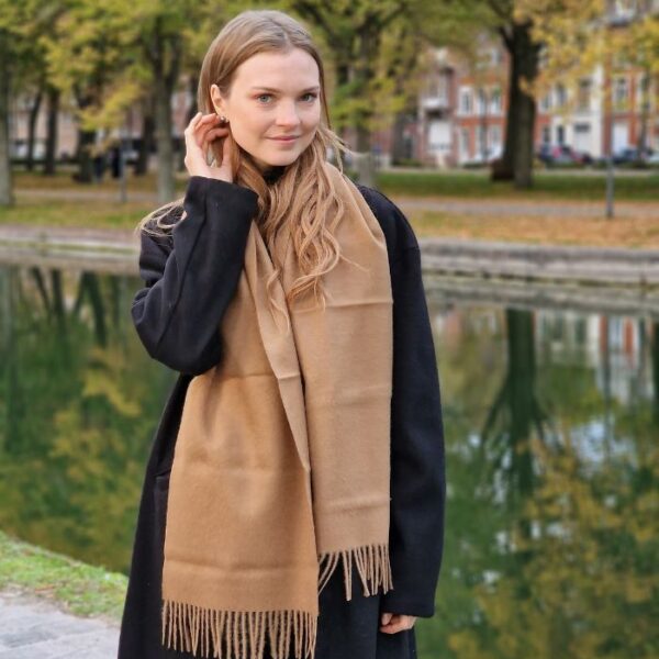 Écharpe Munay-Marron