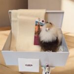 Coffret Cadeau Homme – Écharpe Crème & Peluche  d’Alpaga (20 cm)