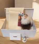 Coffret Cadeau Homme – Écharpe Crème & Peluche  d’Alpaga (20 cm)